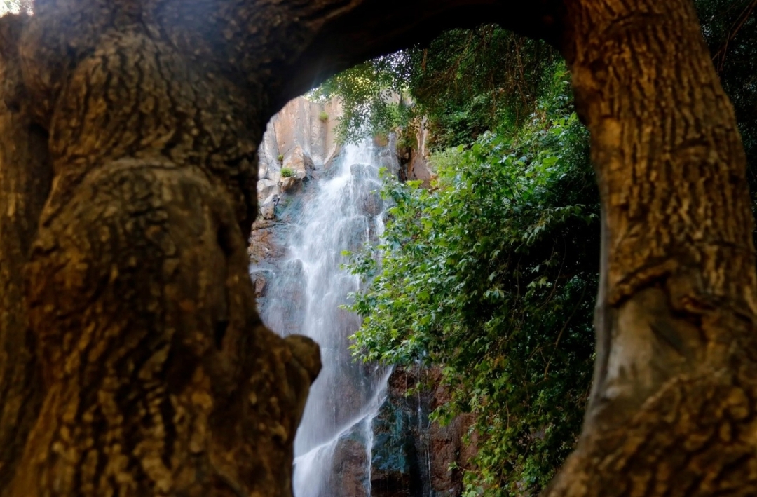 Daily Nature & Folklore Tour from Diyarbakır to Seyhandede Waterfall 8