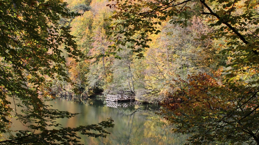 Yedigöller National Park Day Trip from Ankara 9