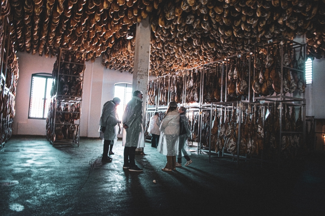 Dehesa pig farm and iberian tasting day trip 5