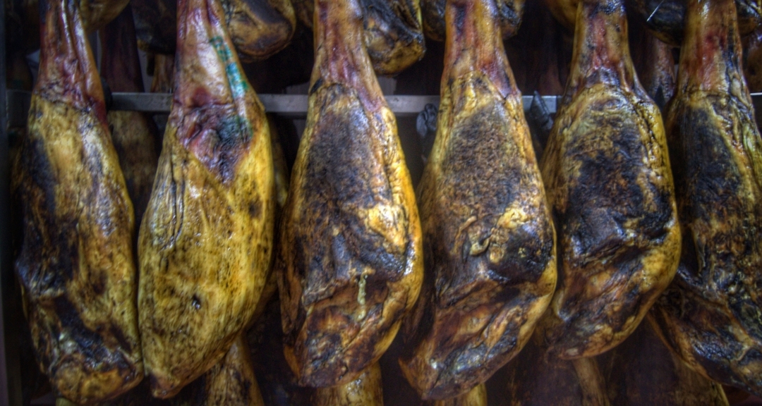 Dehesa pig farm and iberian tasting day trip 7