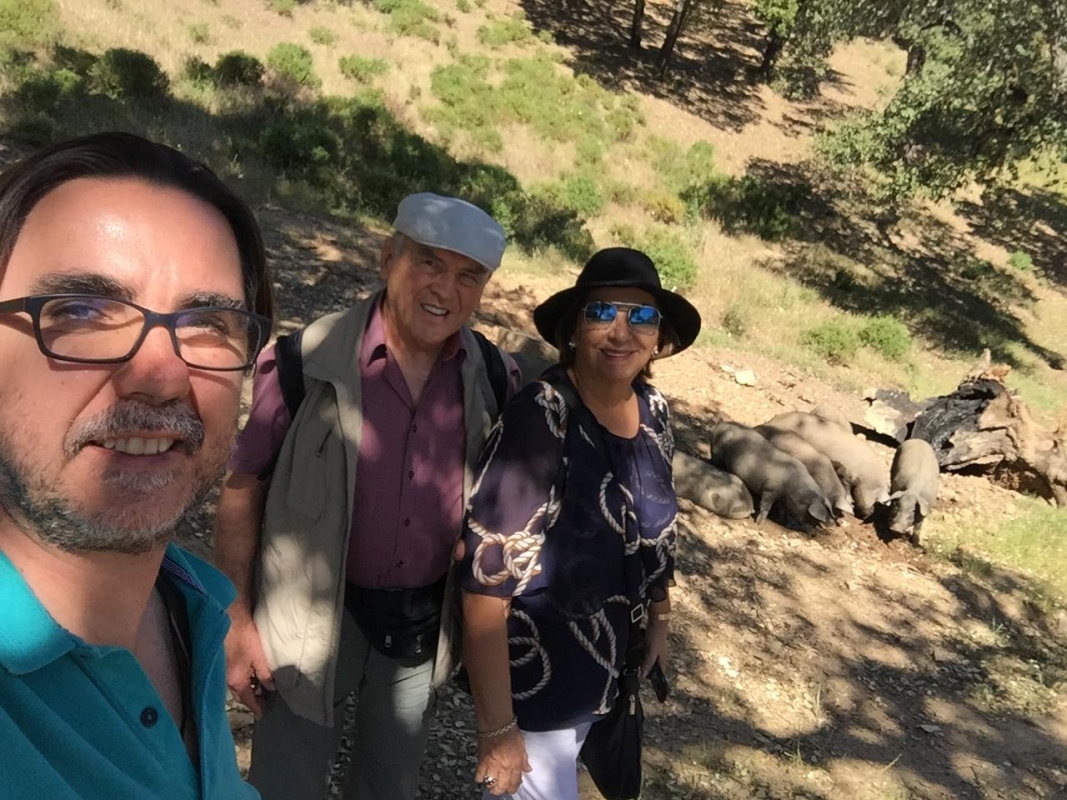 Dehesa pig farm and iberian tasting day trip 8
