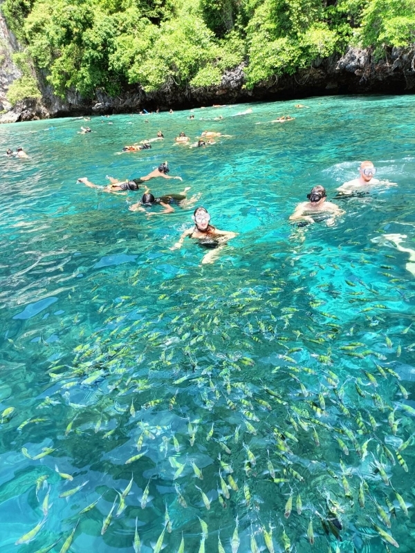 Phi Phi–Maya-Khai Island By Speed Boat (from Phuket) 5