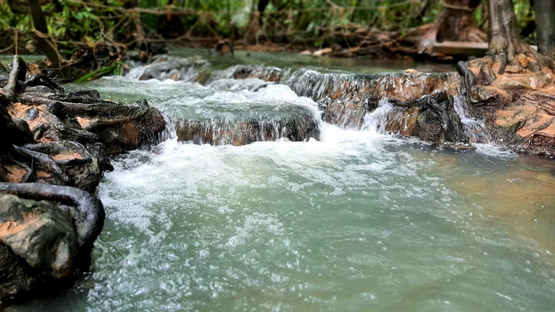 One Day Jungle Tour (Emerald Pool+Hot Spring Waterfall+Tiger Temple) 4
