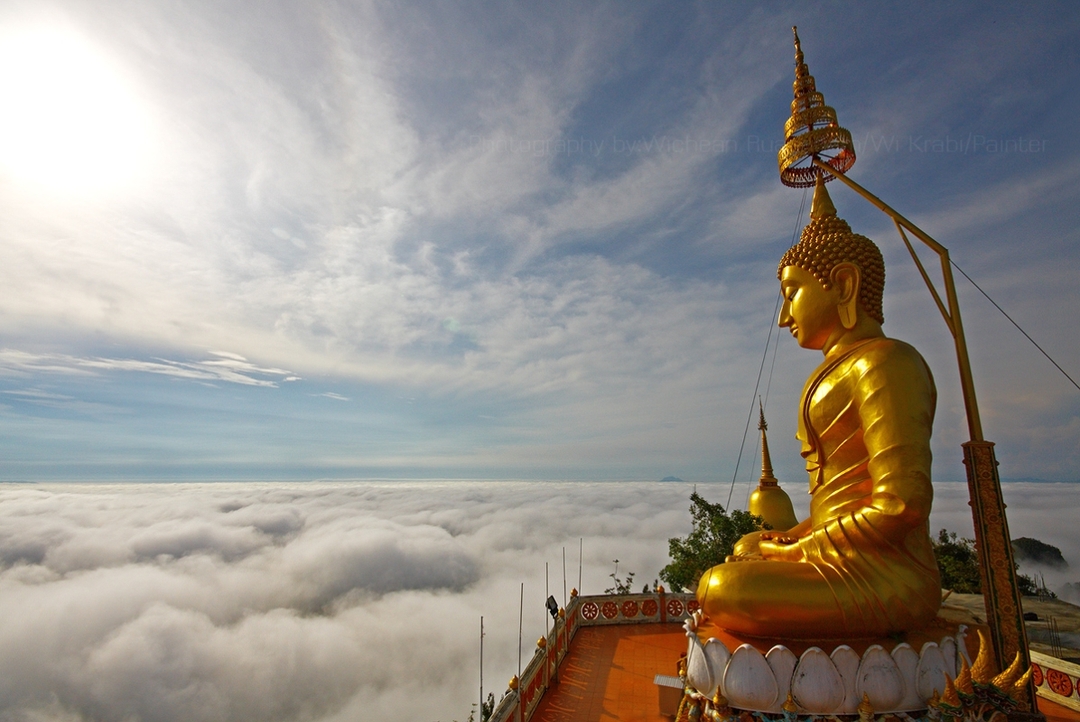 One Day Jungle Tour (Emerald Pool+Hot Spring Waterfall+Tiger Temple) 5
