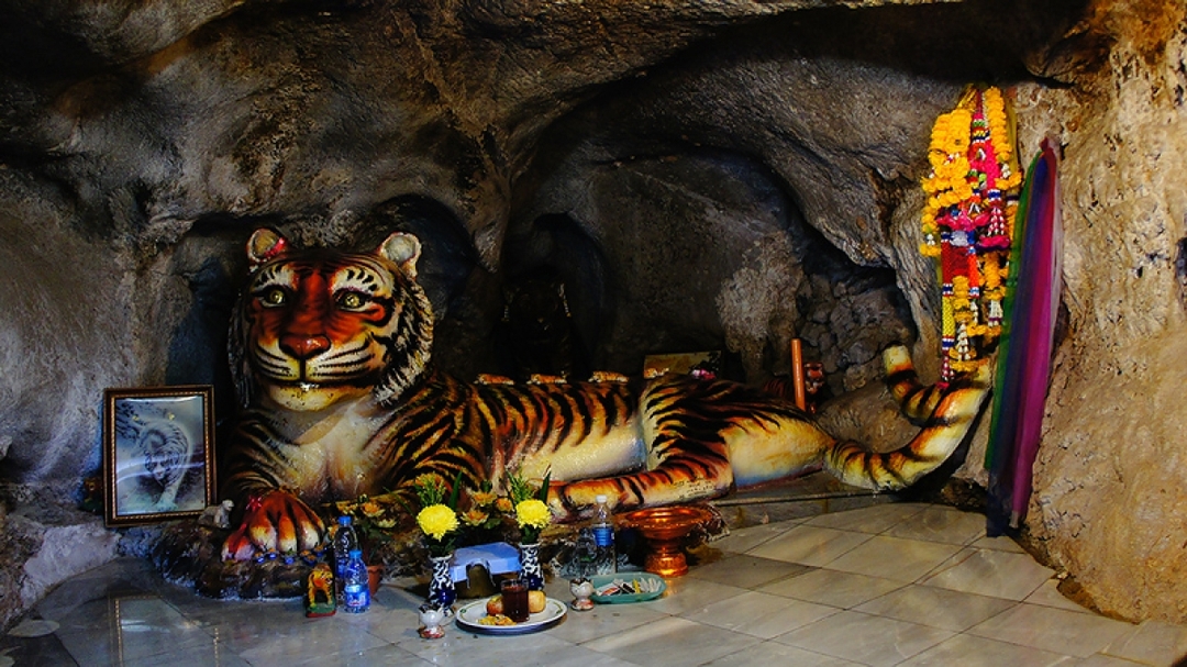 One Day Jungle Tour (Emerald Pool+Hot Spring Waterfall+Tiger Temple) 6