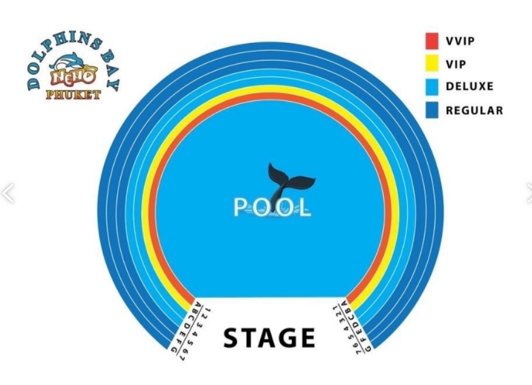 Dolphins Bay Show Phuket 6