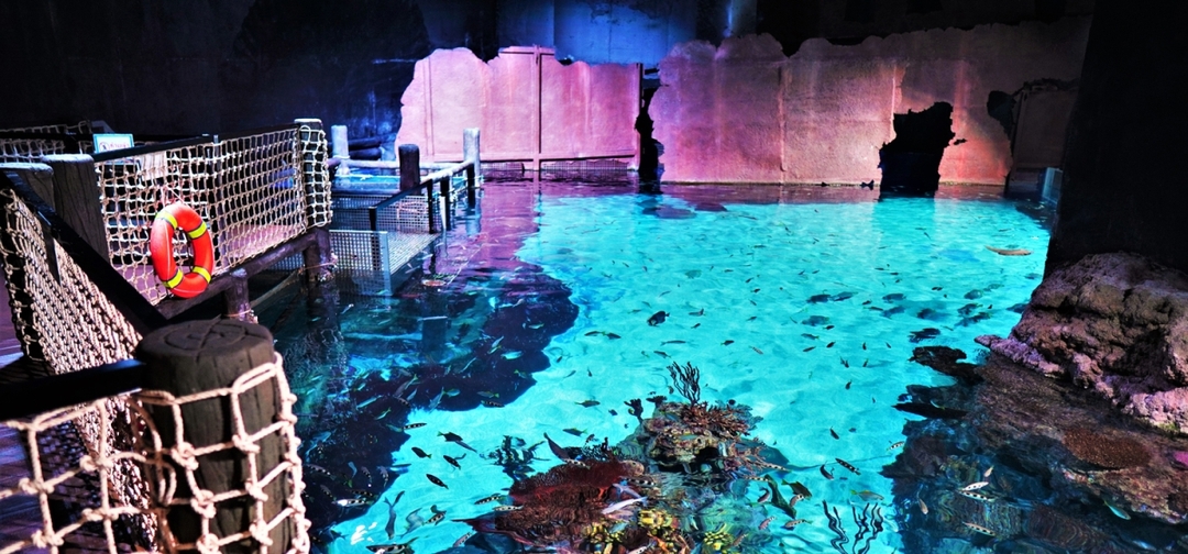 Aquaria Phuket Ticket 6