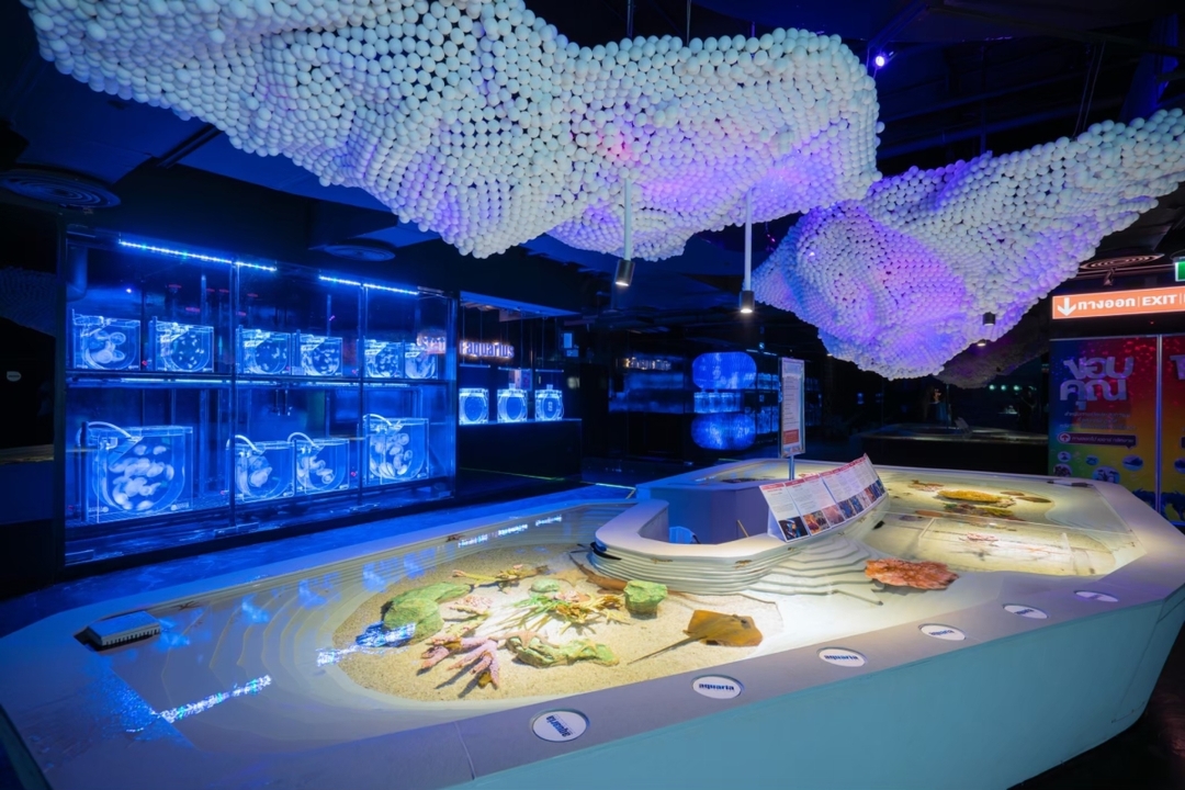Aquaria Phuket Ticket 9