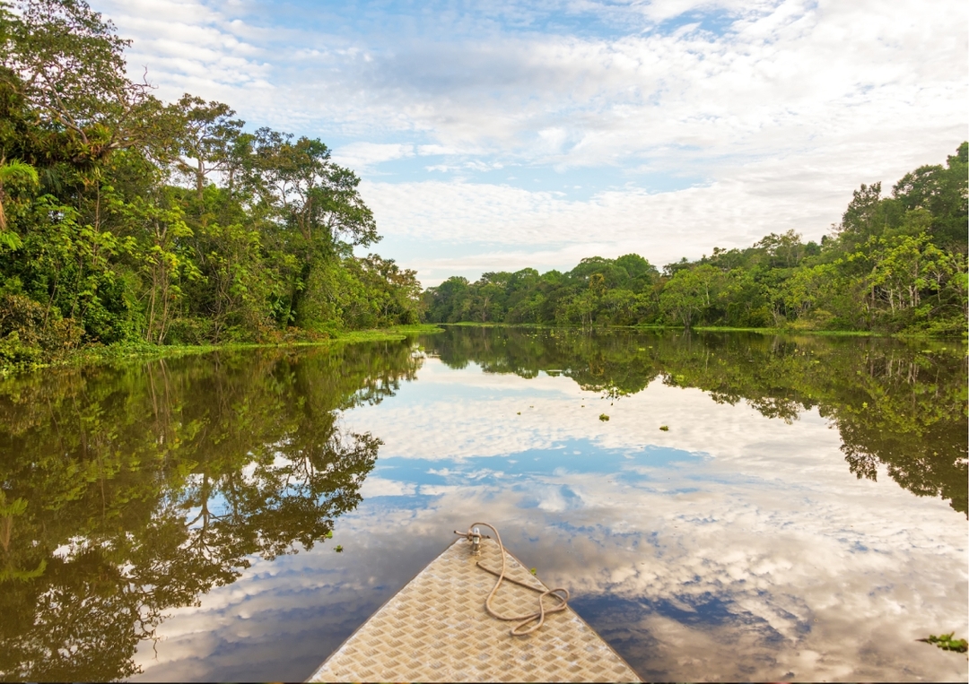 7 Days -  360° Amazon Experience  in Cuyabeno 6
