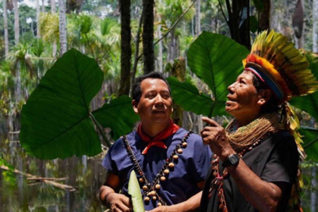 7 Days -  360° Amazon Experience  in Cuyabeno 8