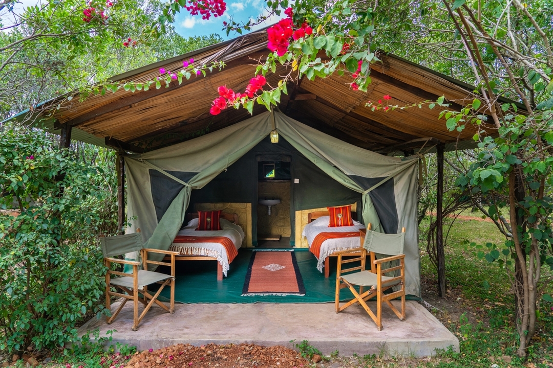 Majestic Kilimanjaro & Safari Bliss: 6-Day Kenya Combo Tour 6