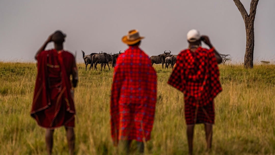 Majestic Kilimanjaro & Safari Bliss: 6-Day Kenya Combo Tour 10