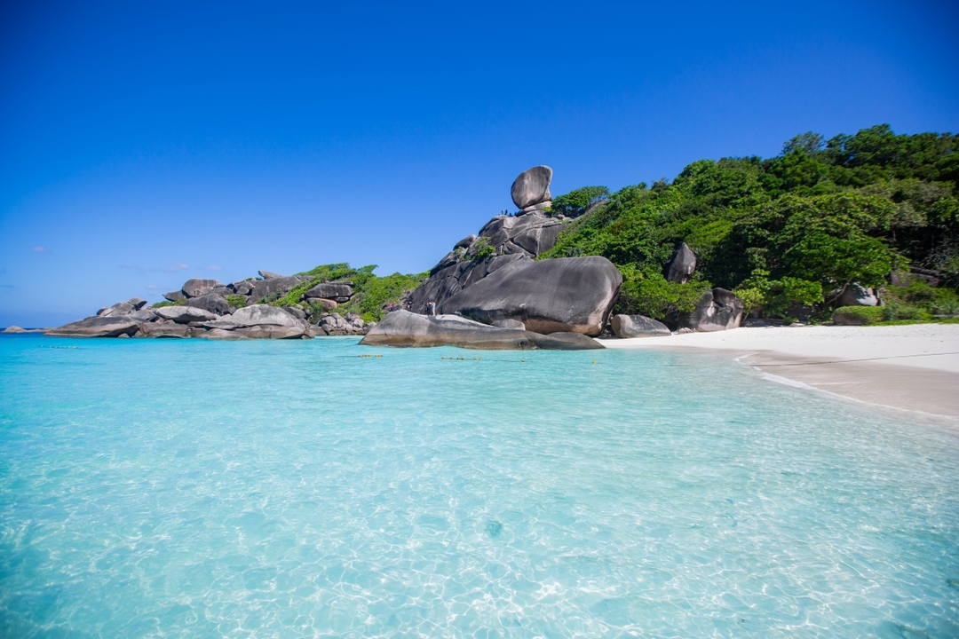 Similan Island Tour Day trip By Speed Boat 6