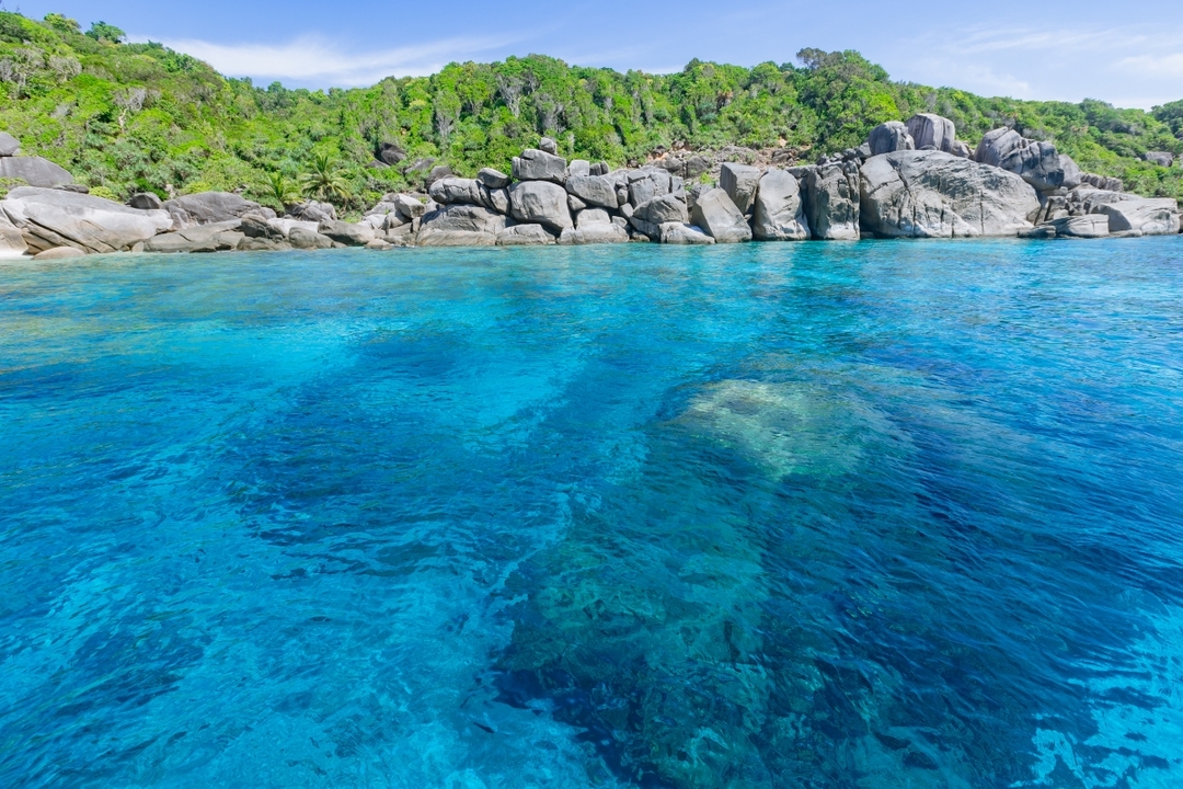 Similan Island Tour Day trip By Speed Boat 7