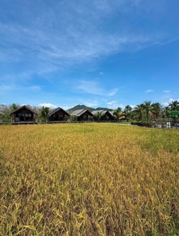 Koh Yao + Koh Hong & Sunset Romantic trip 6