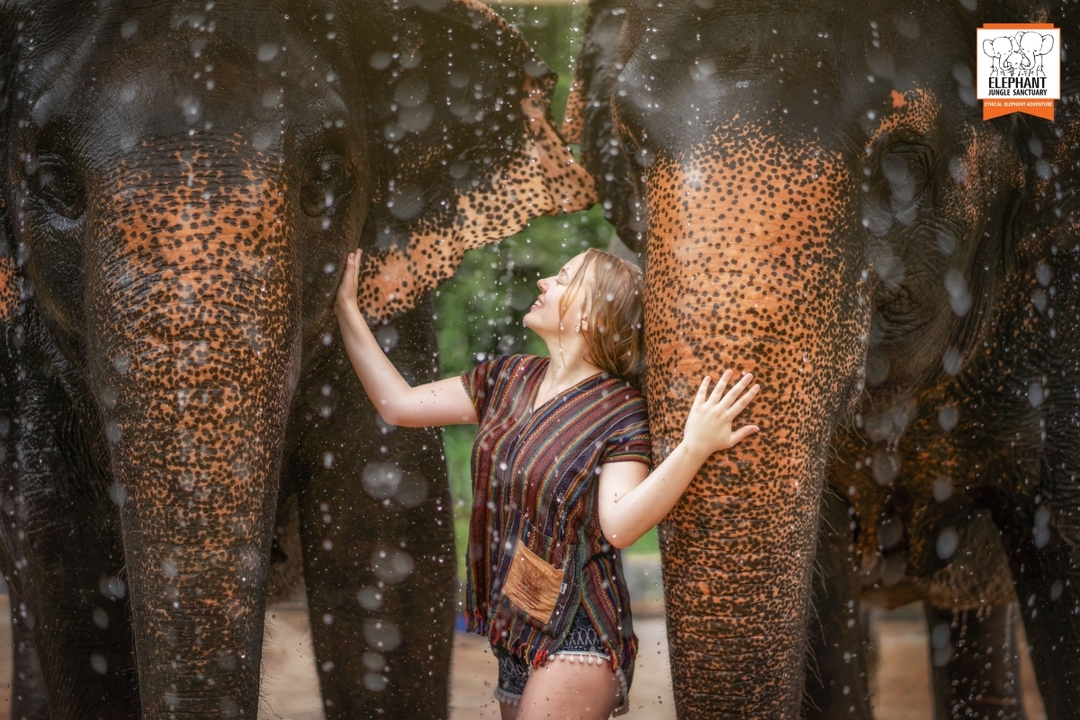 Elephant Jungle Sanctuary Phuket - Half day visit 1