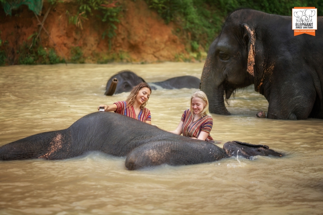 Elephant Jungle Sanctuary Phuket - Half day visit 6
