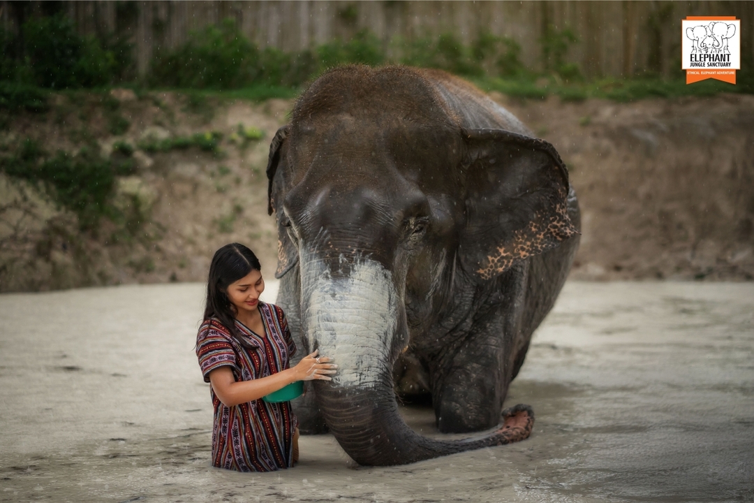 Elephant Jungle Sanctuary Phuket - Half day visit 5