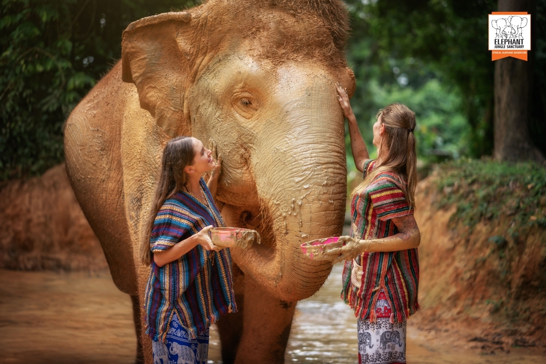 Elephant Jungle Sanctuary Phuket - Walk with elephant 7