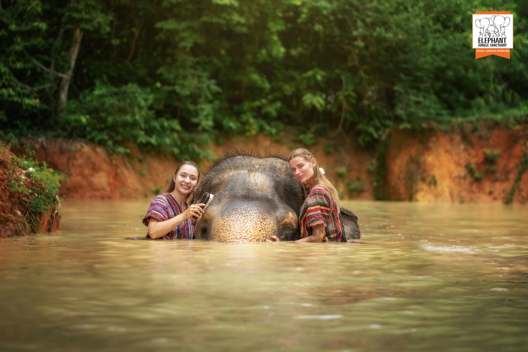 Elephant Jungle Sanctuary Phuket - Walk with elephant 8