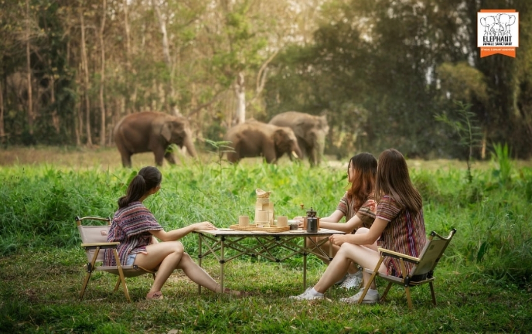 Elephant Jungle Sanctuary Chiang Mai -  Watch Me Tour 1