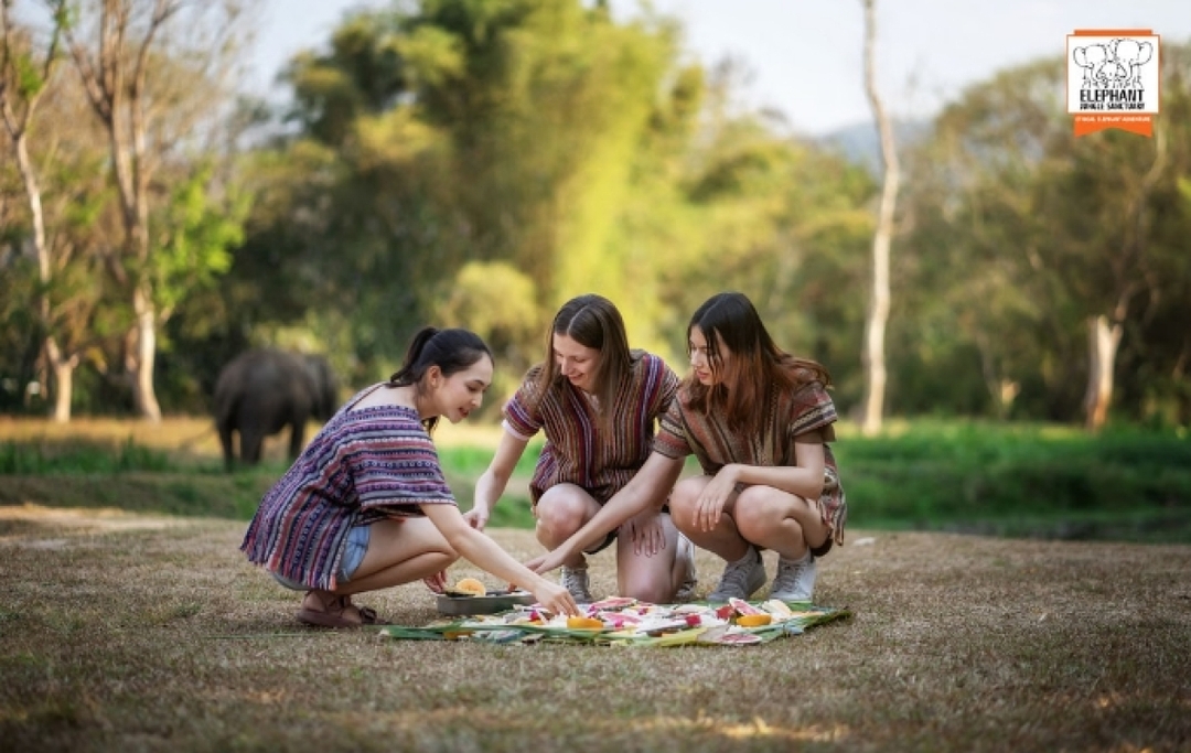 Elephant Jungle Sanctuary Chiang Mai -  Watch Me Tour 4