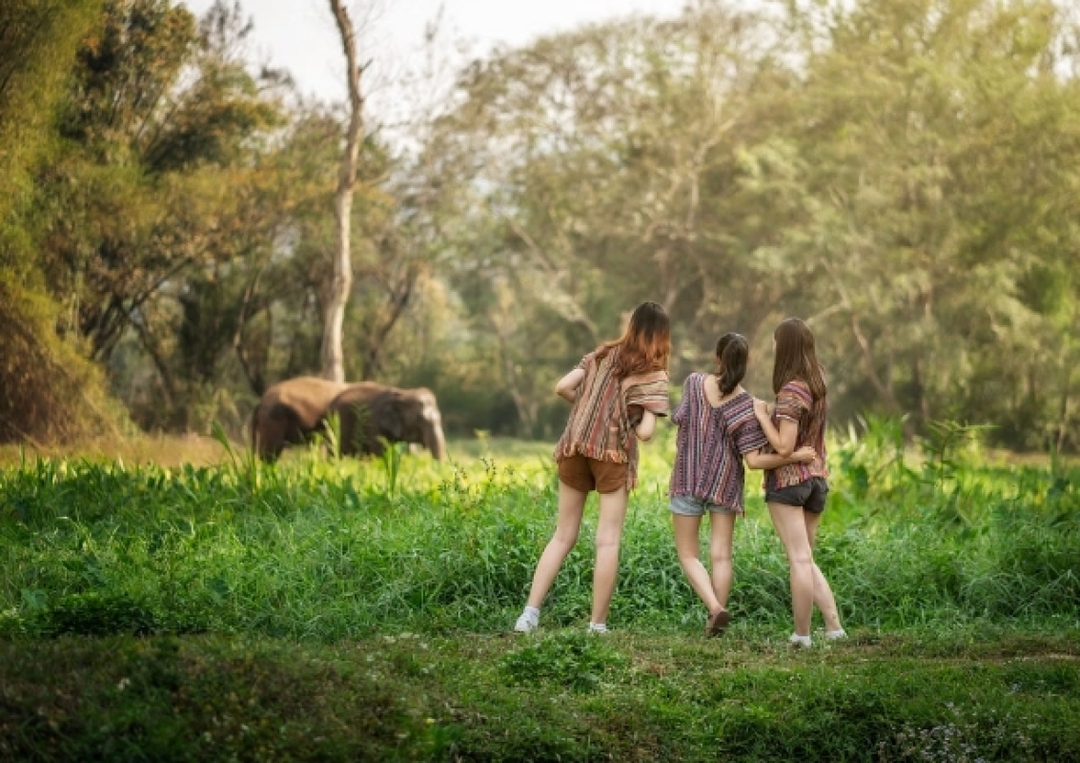 Elephant Jungle Sanctuary Chiang Mai -  Watch Me Tour 6