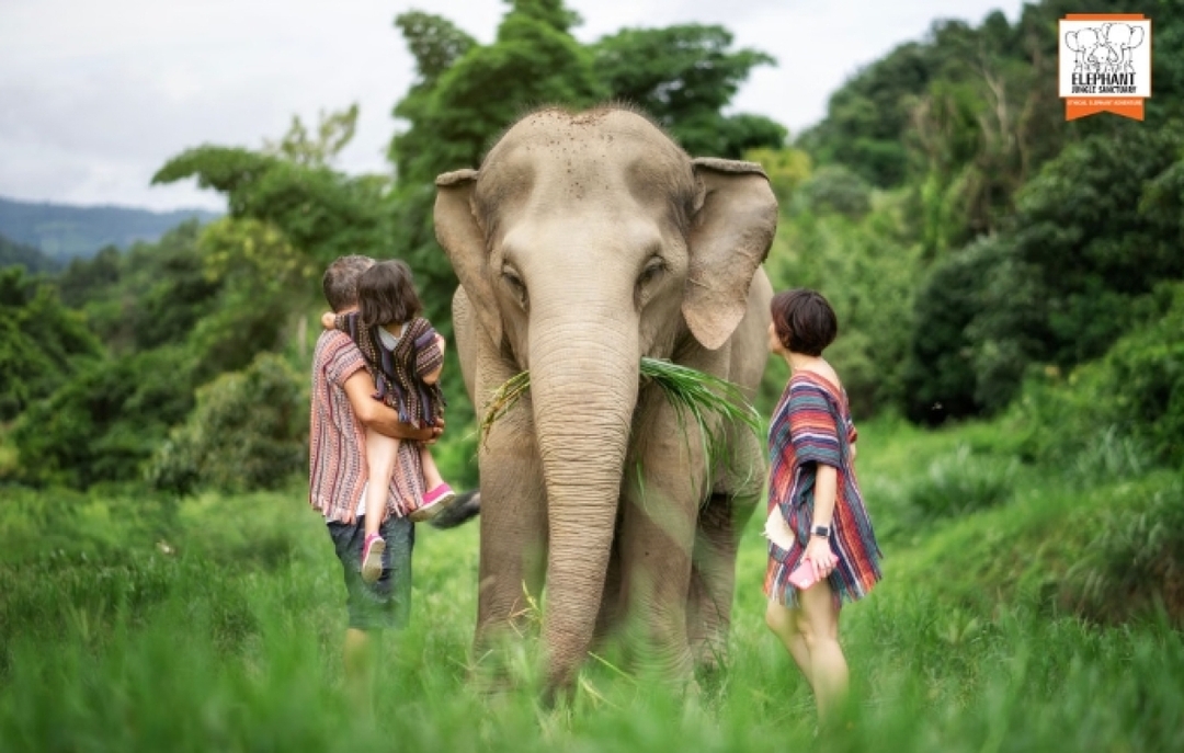 Elephant Jungle Sanctuary Chiang Mai - Full day visit 3