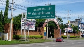 Samphran Elephant Ground & Zoo Package: Show+Riding with Lunch ( No transfer )