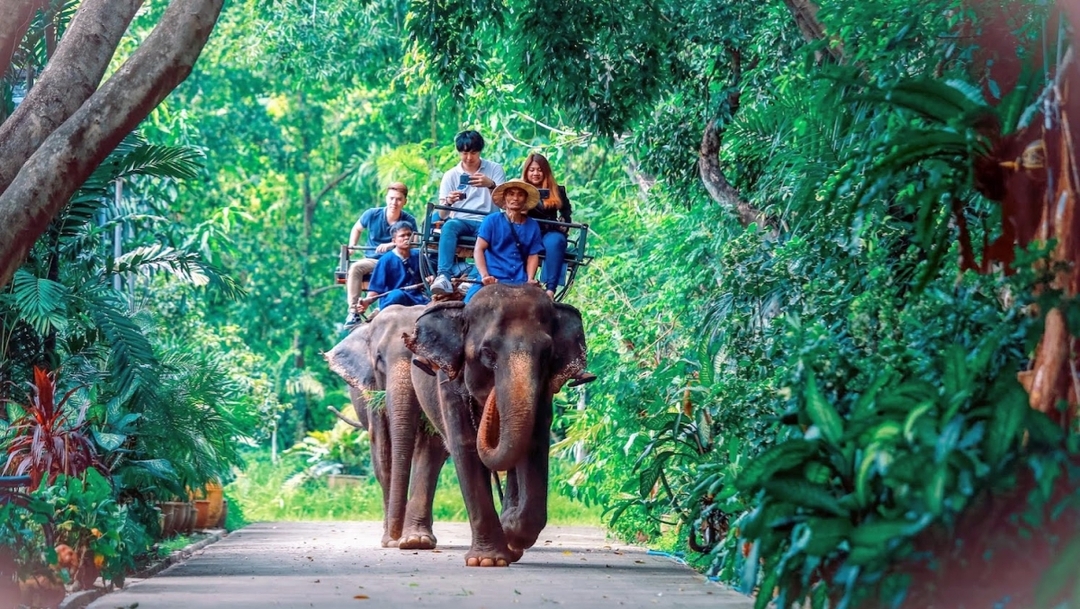 Samphran Elephant Ground & Zoo Package: Show+Riding with Lunch ( No transfer ) 8