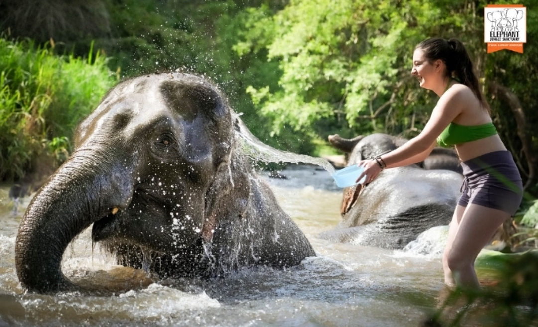 Elephant Jungle Sanctuary Chiang Mai - Overnight Visit (2D1N) 8