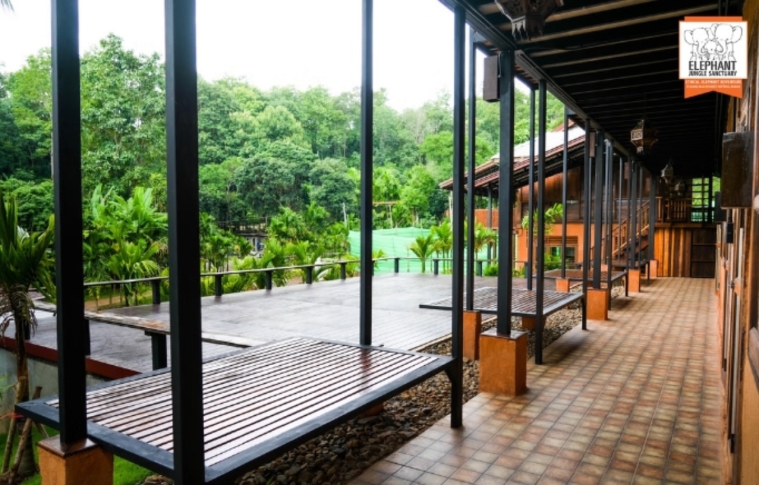 Elephant Jungle Sanctuary Chiang Mai - Overnight Visit (2D1N) 9