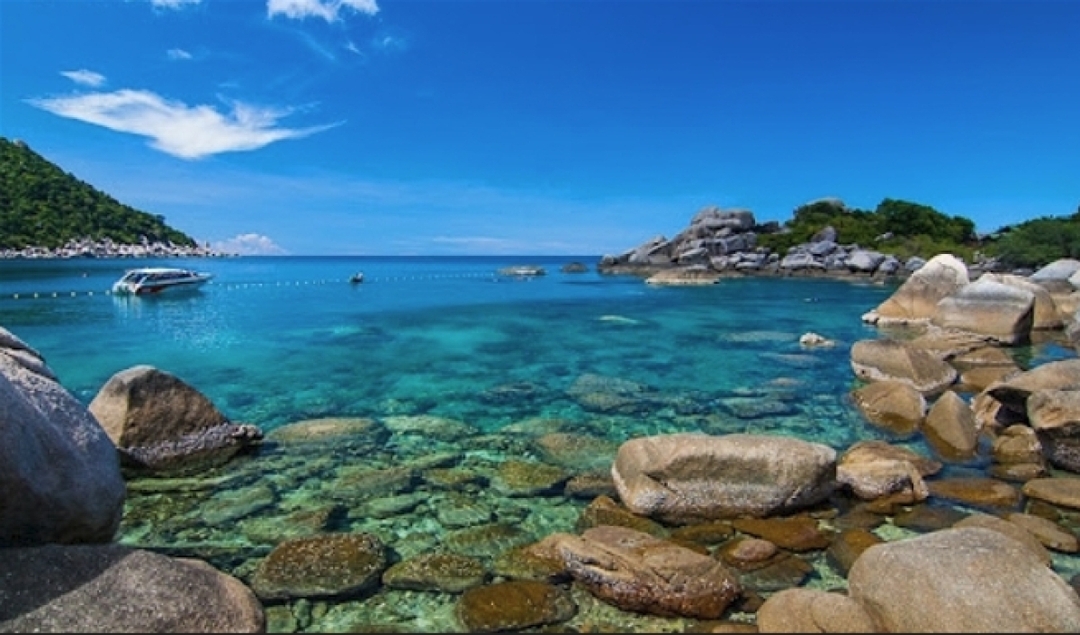Koh Tao & Koh Nangyuan Day Trip by speedboat (from Samui) 2