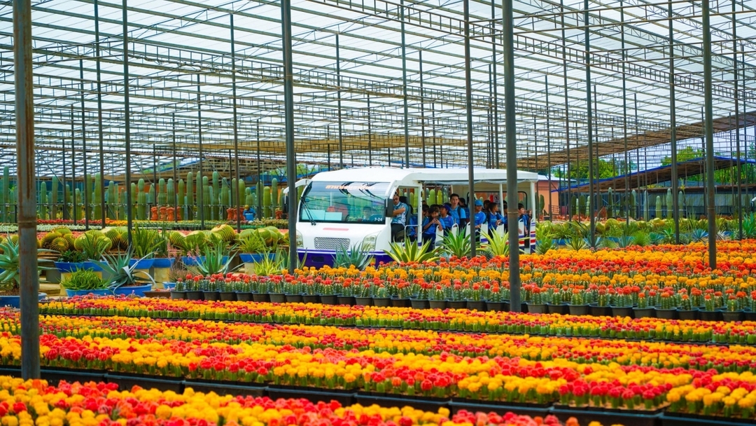Nong Nooch Tropical Garden Pattaya (Admission fee + Sightseeing bus) 4