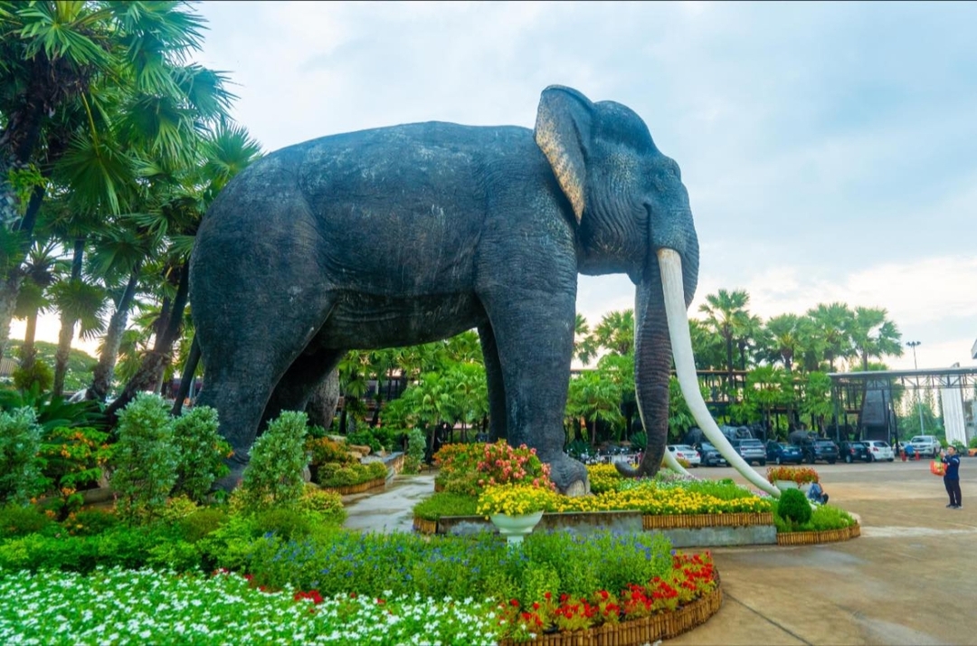 Nong Nooch Tropical Garden Pattaya (Admission fee + Sightseeing bus) 7