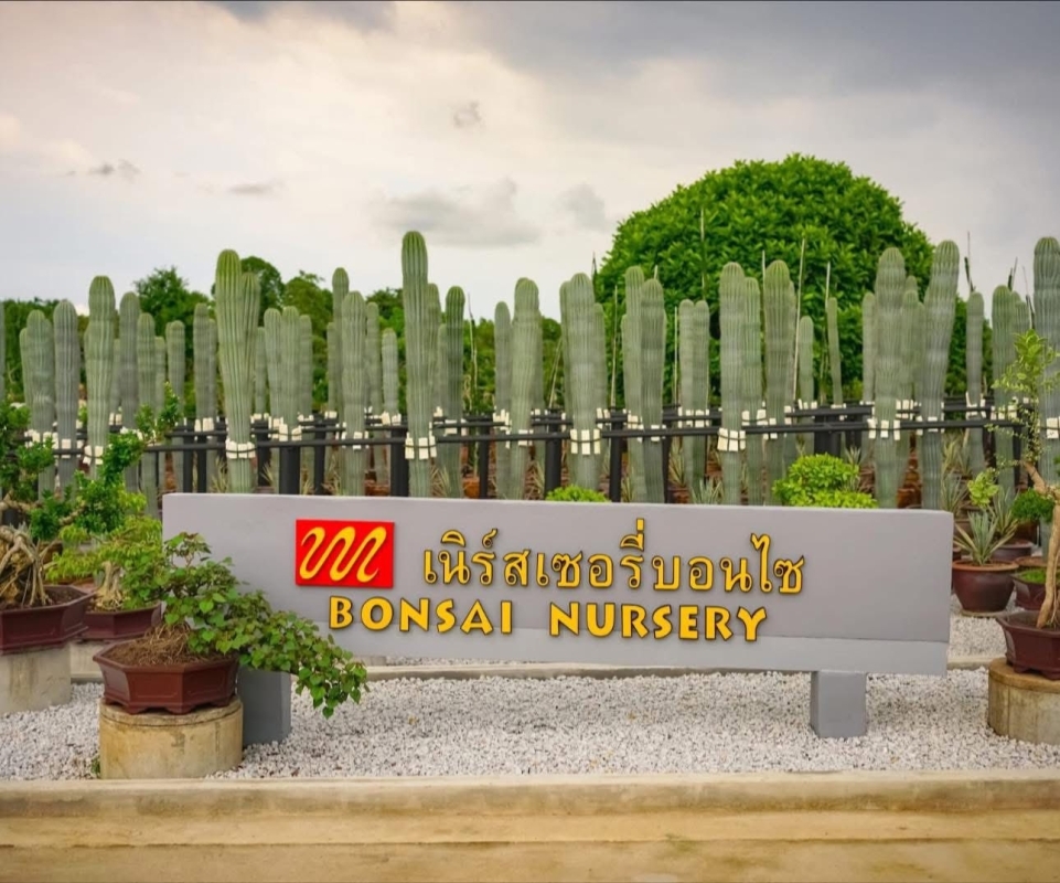 Nong Nooch Tropical Garden Pattaya (Admission fee + Sightseeing bus) 8