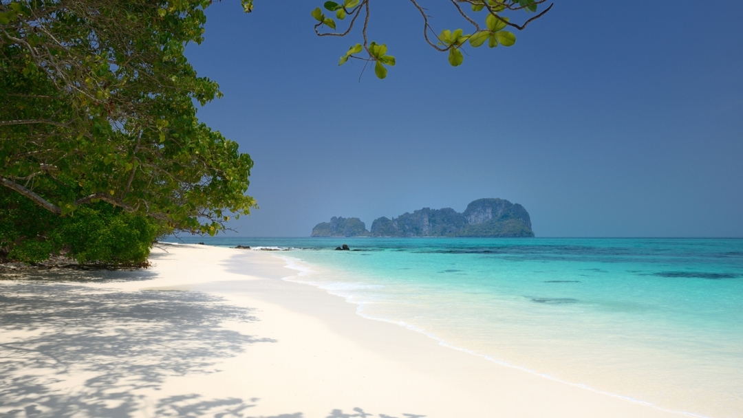 Phi Phi –Maya - Bamboo – Khai – Maiton Island Day Trip By Speed Catamaran 6