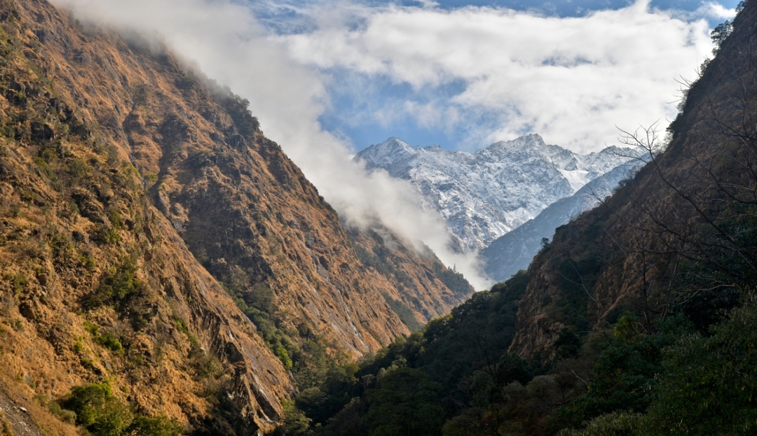 Guided Hike to Langtang Village: Stunning Views & Nature 3