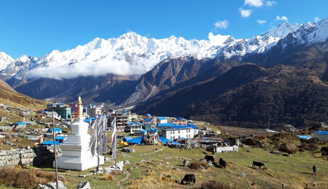 Guided Hike to Langtang Village: Stunning Views & Nature 4