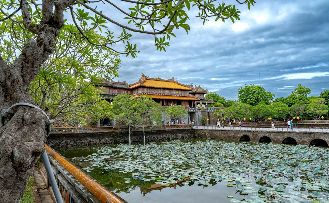 VIETNAM PANORAMA TOUR 6