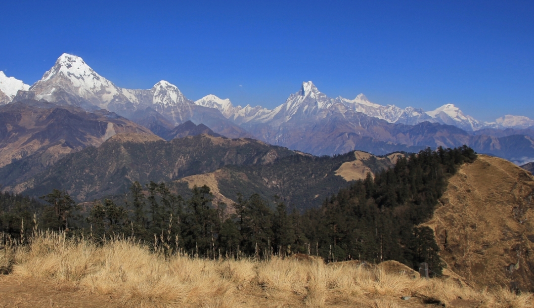 Pokhara: Khopra Danda Trek 2