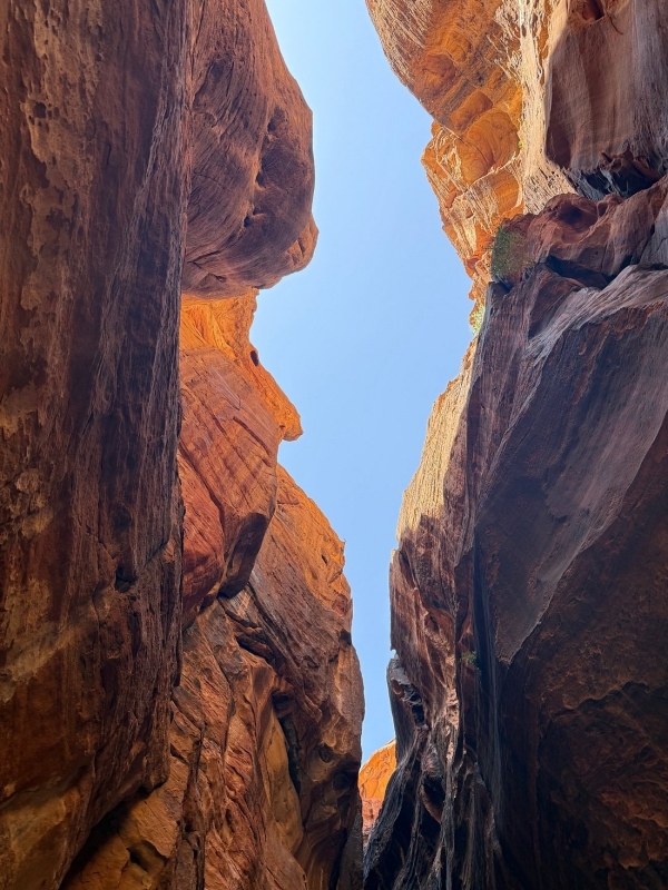 Petra Visit Tour 2