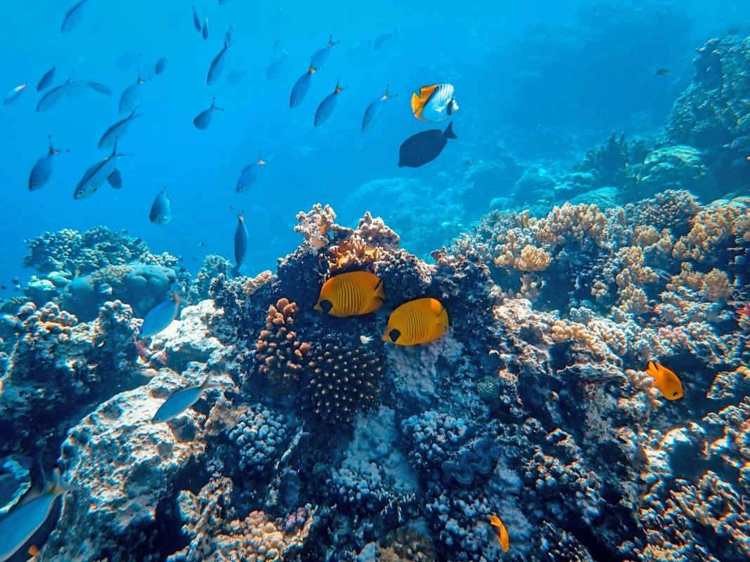 Daily Scuba Diving Tour from Skyros 3