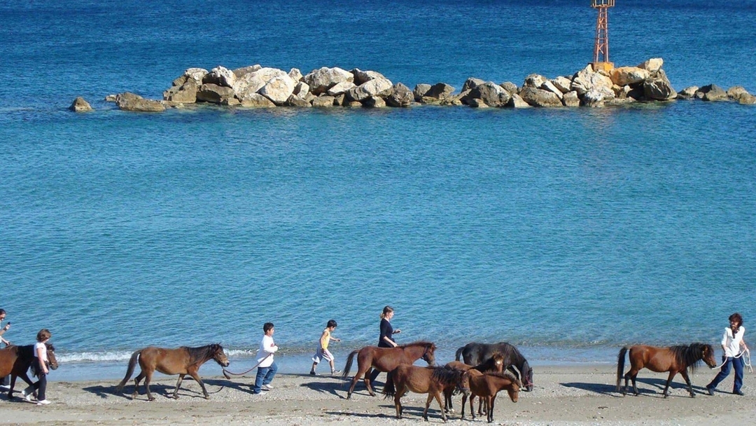Horse Riding in Skyros 2