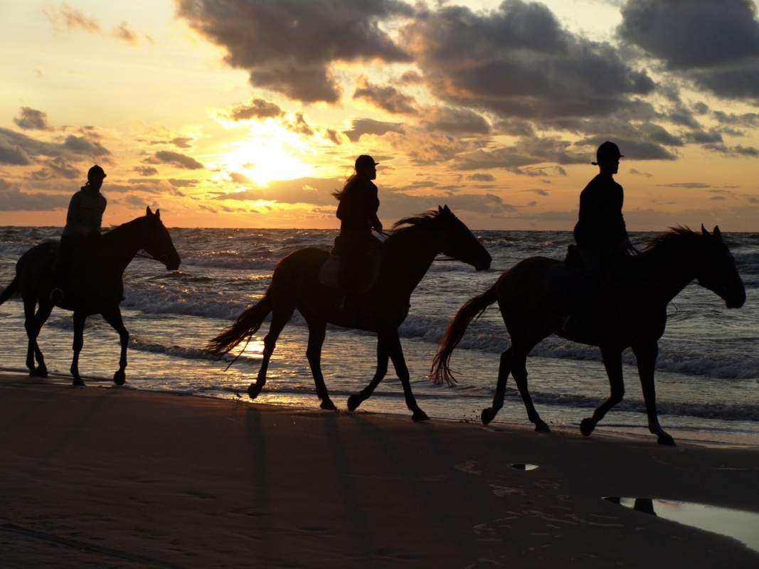 Horse Riding in Skyros 3