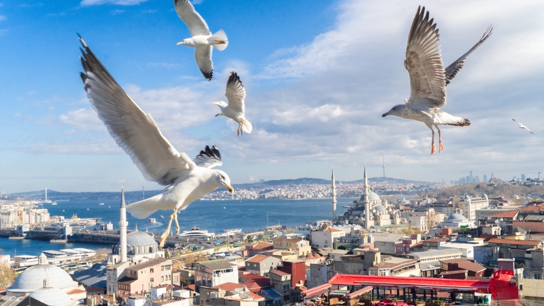 Black Friday 6 Day Special Istanbul City Tour Package 6