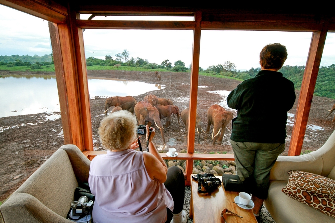 Wild & Scenic Kenya – A 7-Day Signature Safari 5