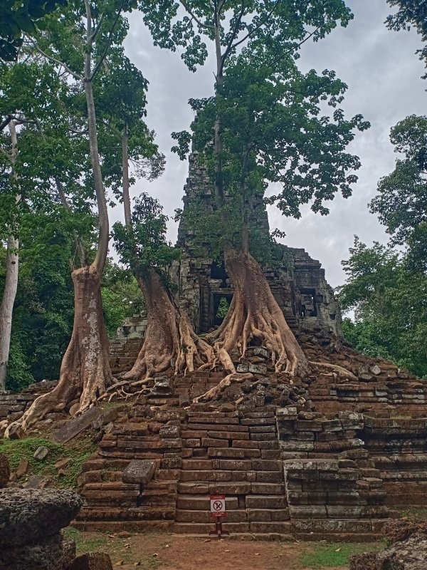One Day Joining Trip-Angkor Wat, Angkor Thom & Ta Prohm 7