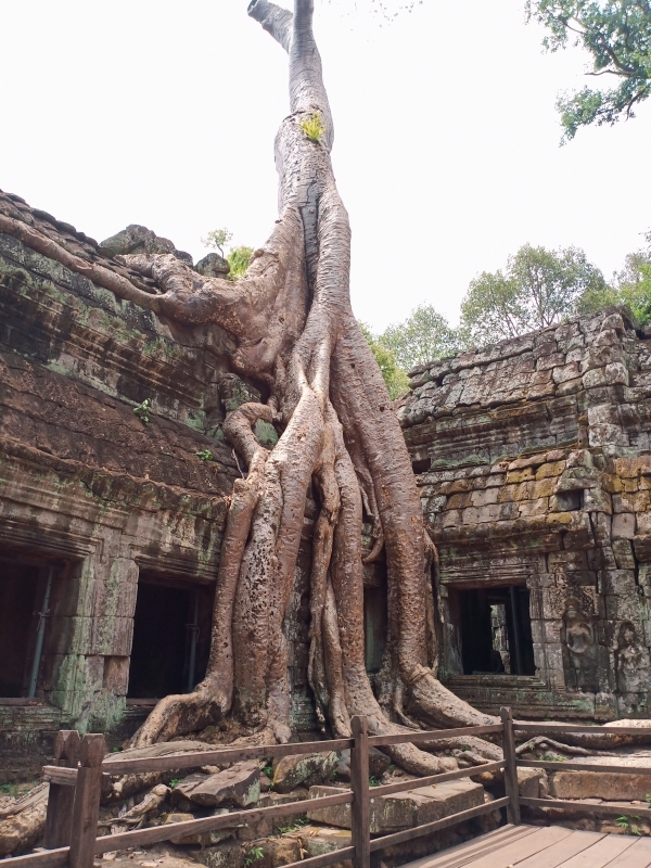 One Day Joining Trip-Angkor Wat, Angkor Thom & Ta Prohm 9