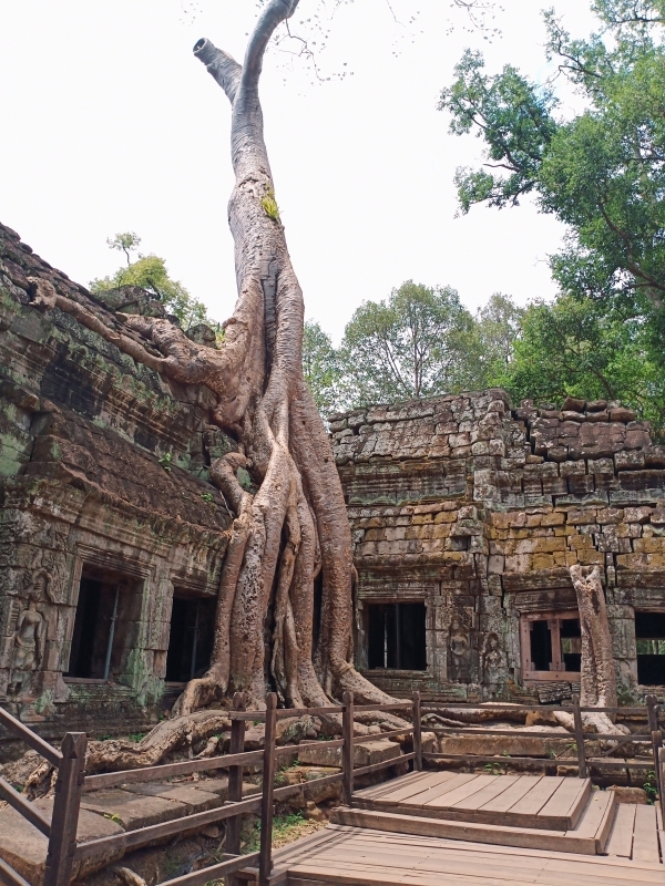 Private Airport Pickup & The Customized Trip in Siem Reap 6